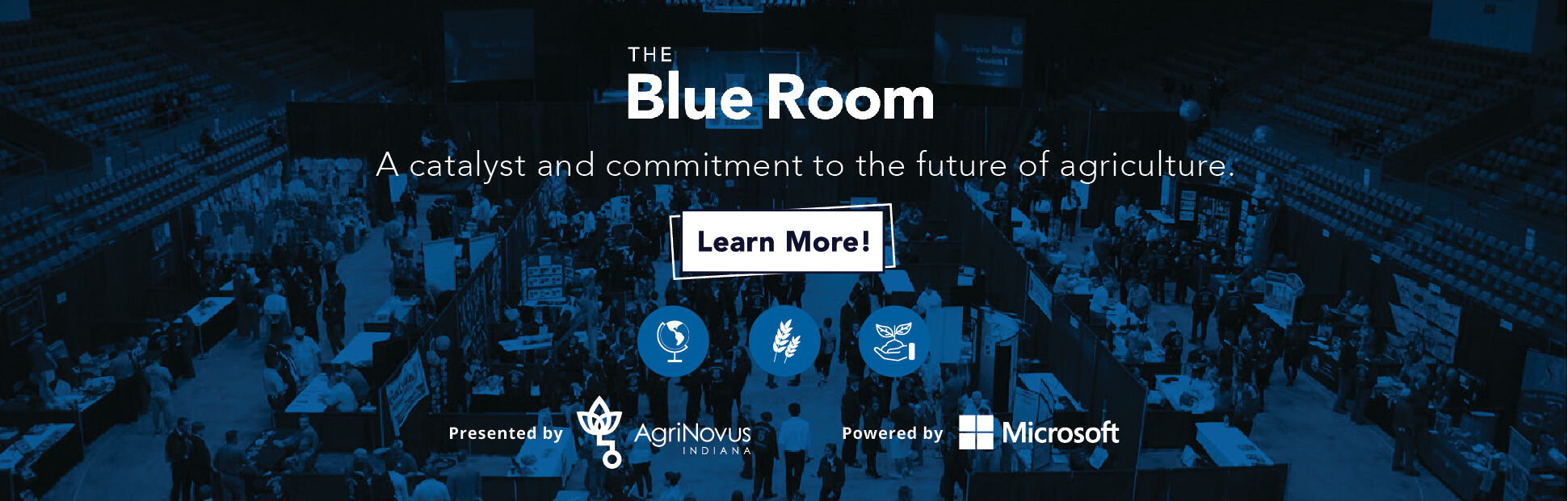 ad-100 The Blue Room